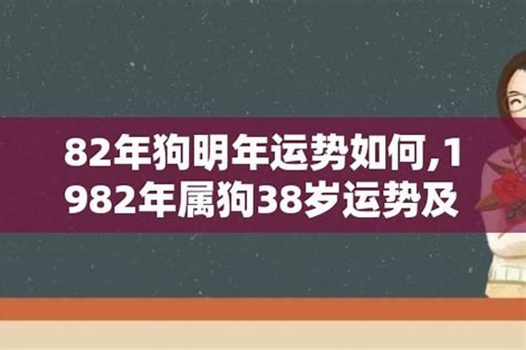 1984年属狗人的运程如何呢