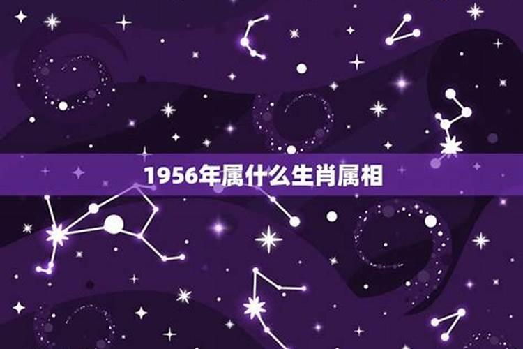 56年腊月出生属什么