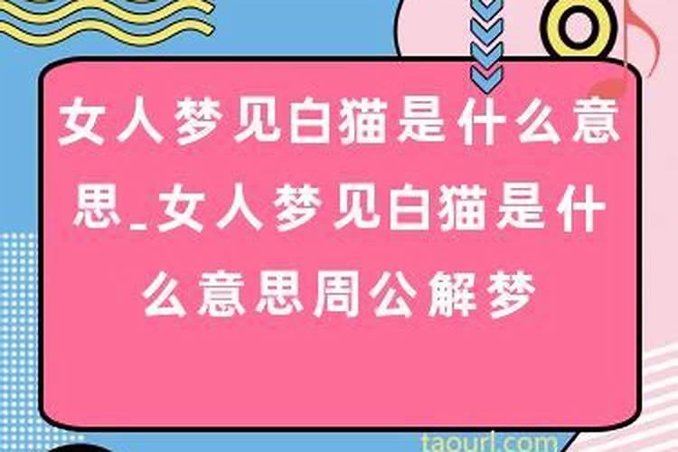 梦见白猫咬自己是什么意思啊