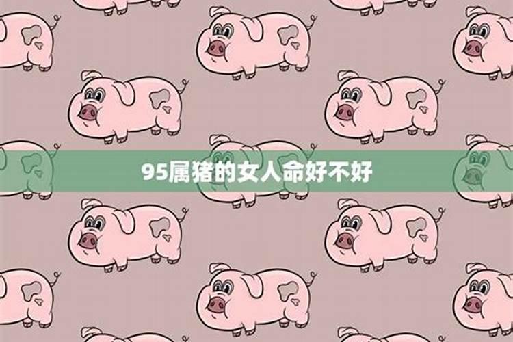 属猪的女人命怎么样