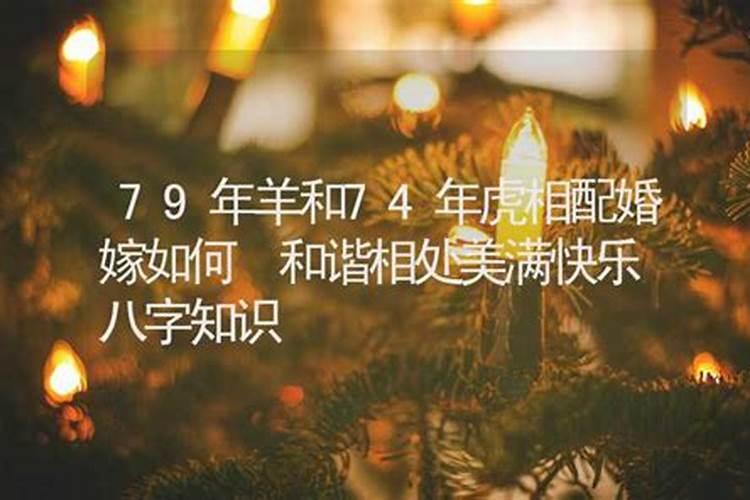 67羊74虎属相婚配好吗