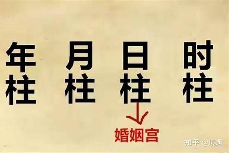 八字妻宫有合是什么象