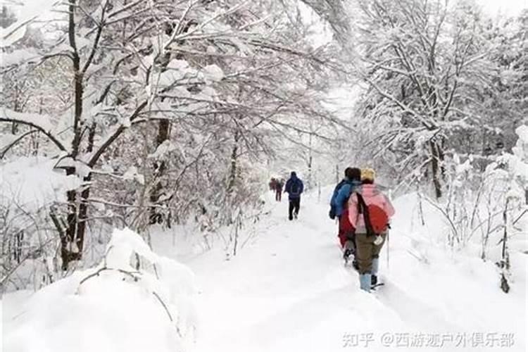 属牛哪年结婚比较好