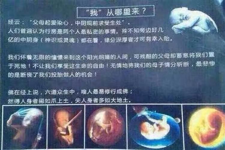 太白星是管什么的运势