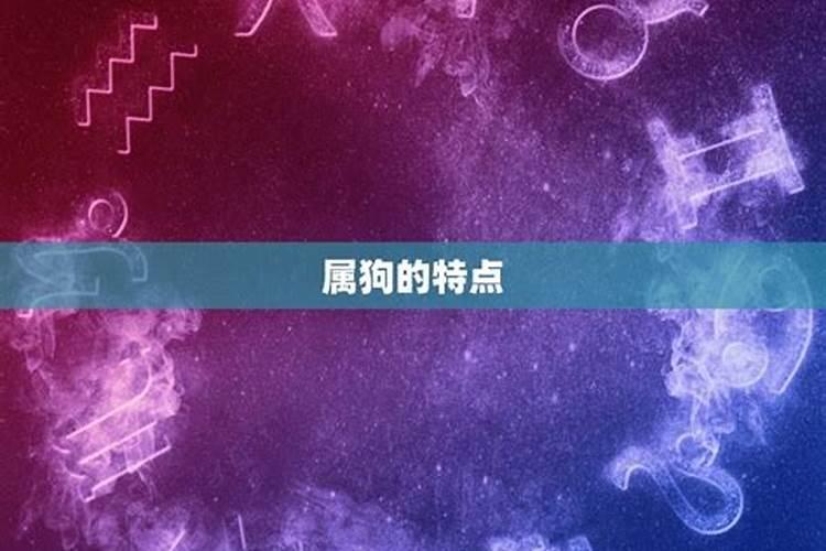 属狗的名字里不能出现什么字呢