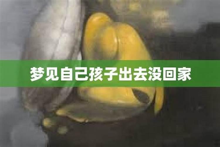 梦到自己回家了但是并没有回家