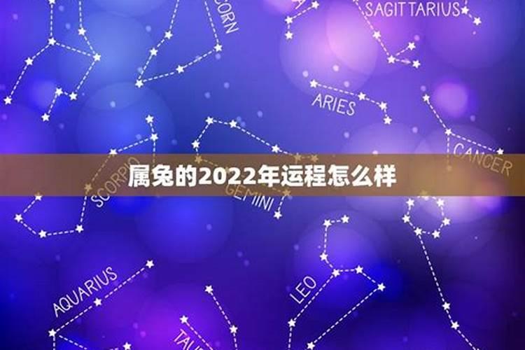 属兔的2022年的运怎么样