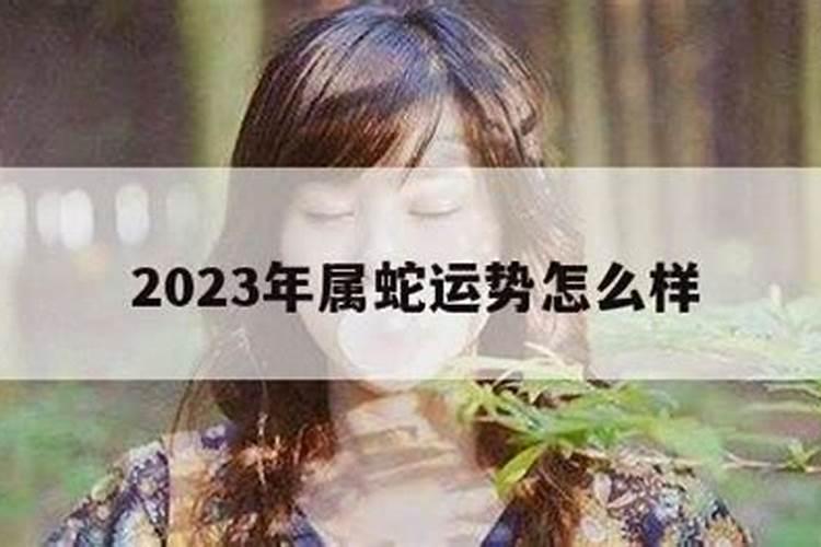 75属兔女人2021命运怎么样啊