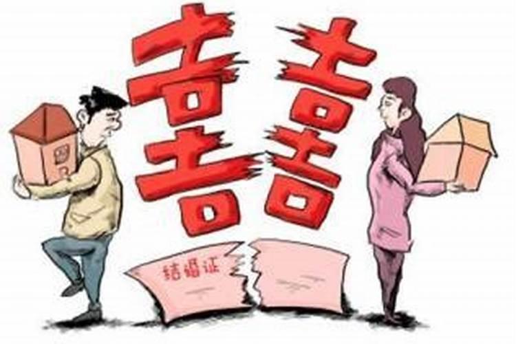 帝师兔运势2023年运势如何