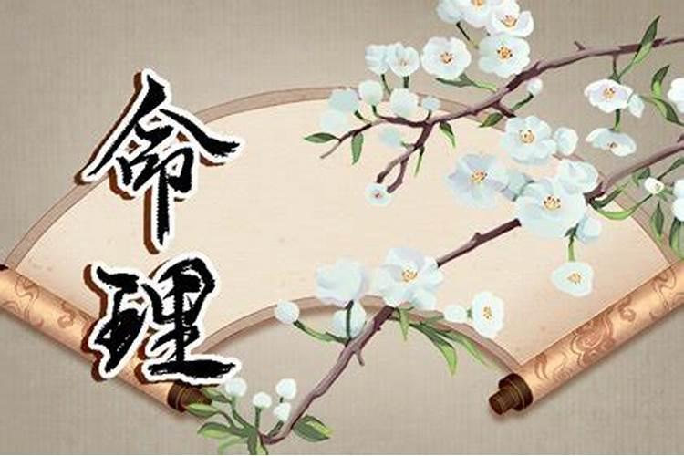 梦见公公婆婆回家了