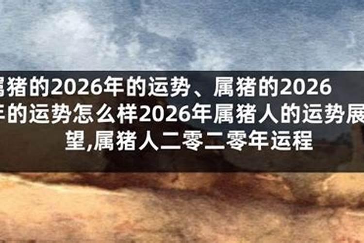 属猪2026年运势怎么样