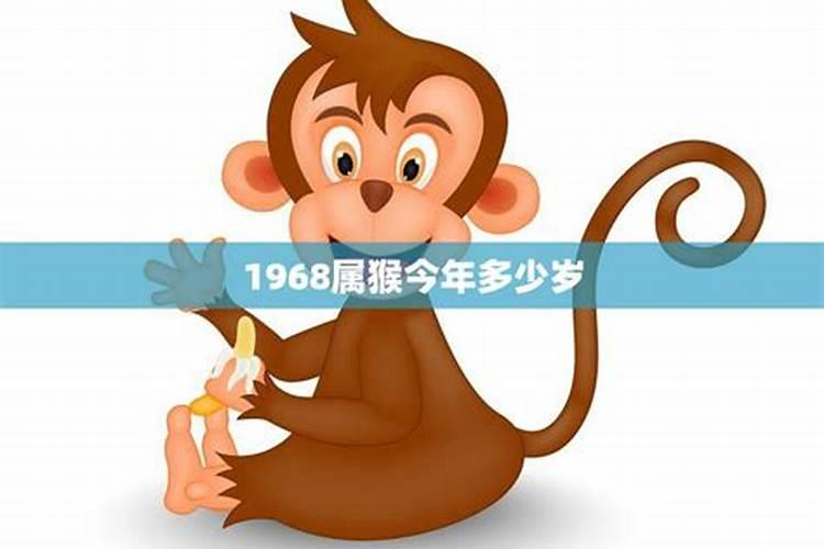 属猴的五十左右今年多大了