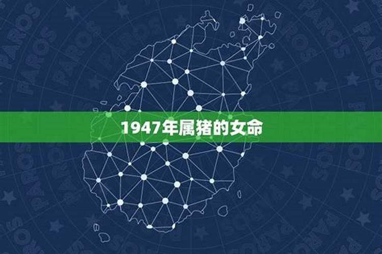 1947年女属猪在今年的运程生