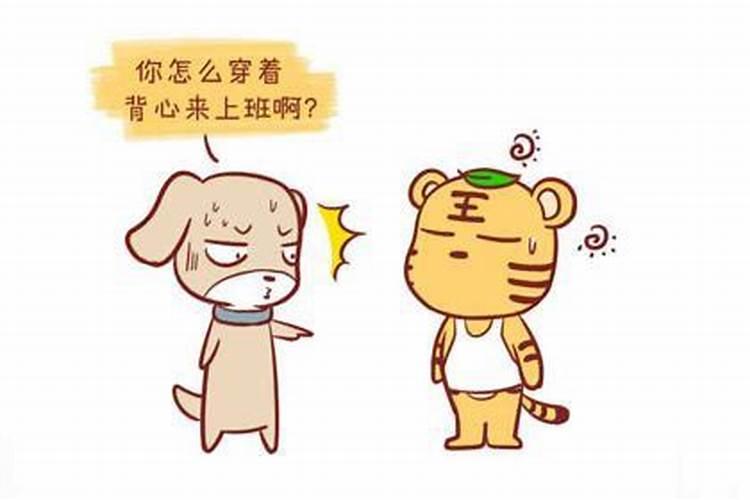 做梦梦到猫和豹子