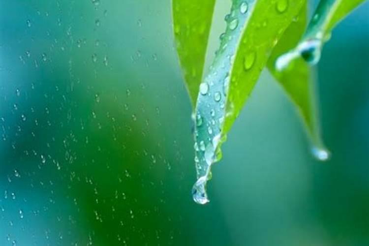 梦到晚上下雨暗示什么呢周公解梦