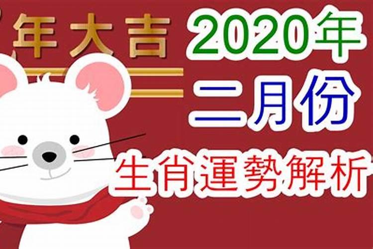 2月的十二生肖运势2023年运程如何