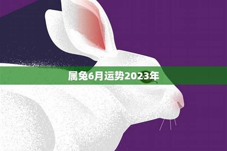 属兔6月运势2021