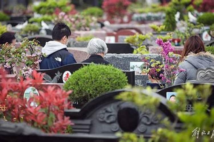 清明节祭祀网上扫墓