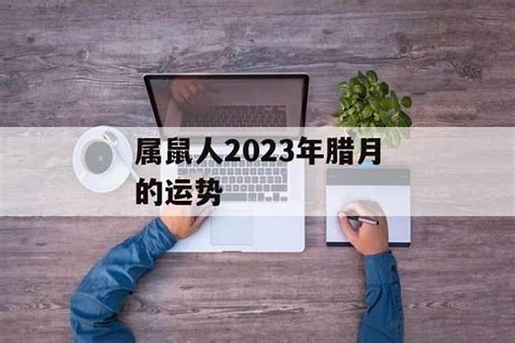 属龙人2022年运势运程每月运程