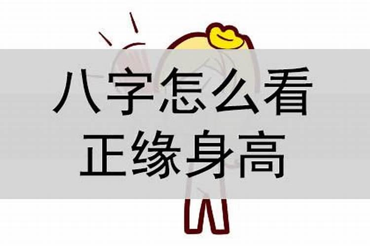 属虎和兔属相合不合