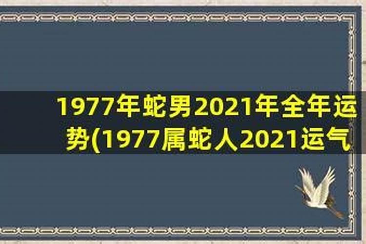 1977属蛇男人2021年运势