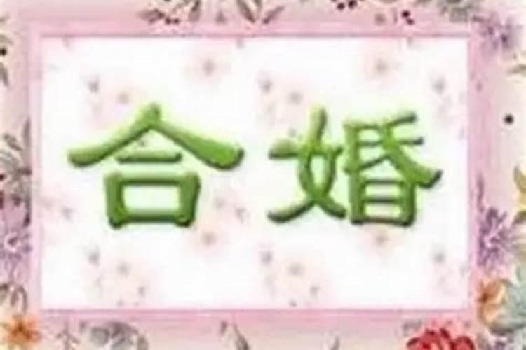 八字合婚如何看姻缘