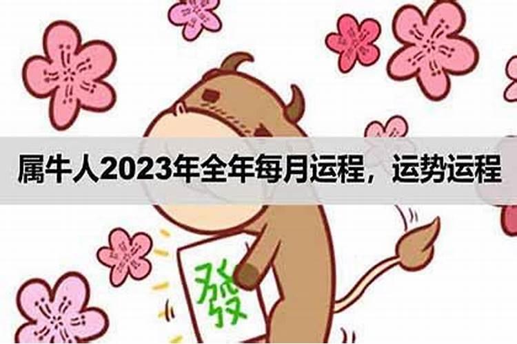 2023属牛人8月运程如何