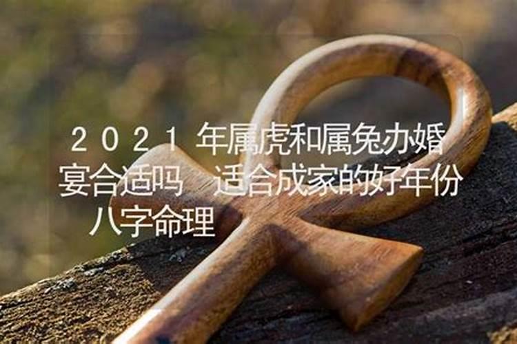 属虎和属兔的八字不合