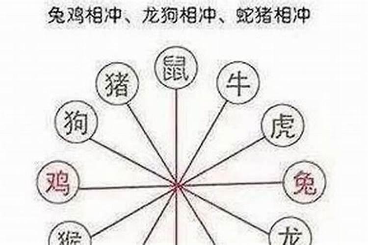 算命婚姻四害相冲指哪四害