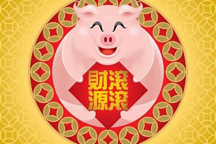 生肖猪今年运气好不好