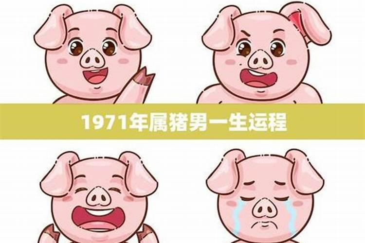 71年属猪2022年运势及运程