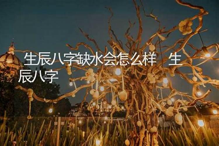 2021年清明节北京看油菜花