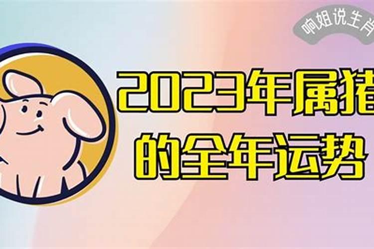 2023猪人全年运势