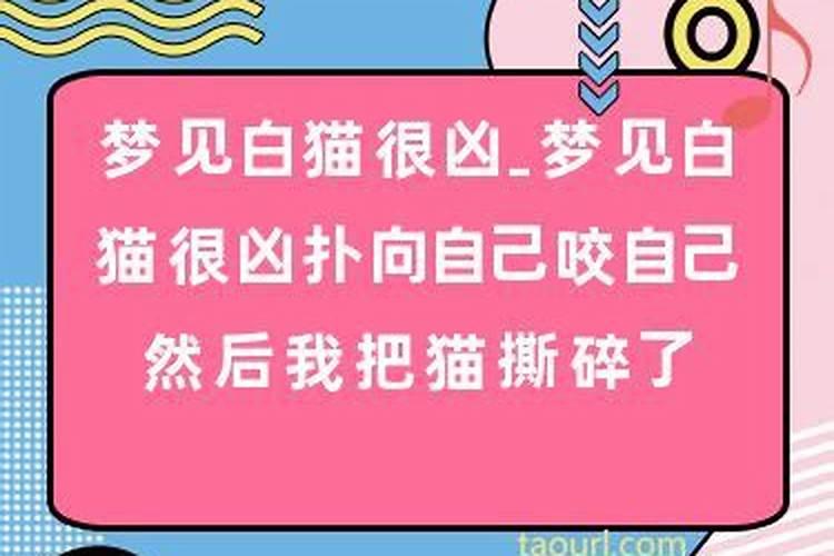 梦见白猫很凶扑向自己把我吓醒了