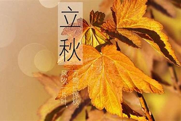 农历2024年11月属什么生肖运势