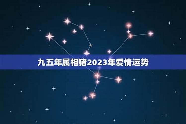 2023猪年感情运势如何