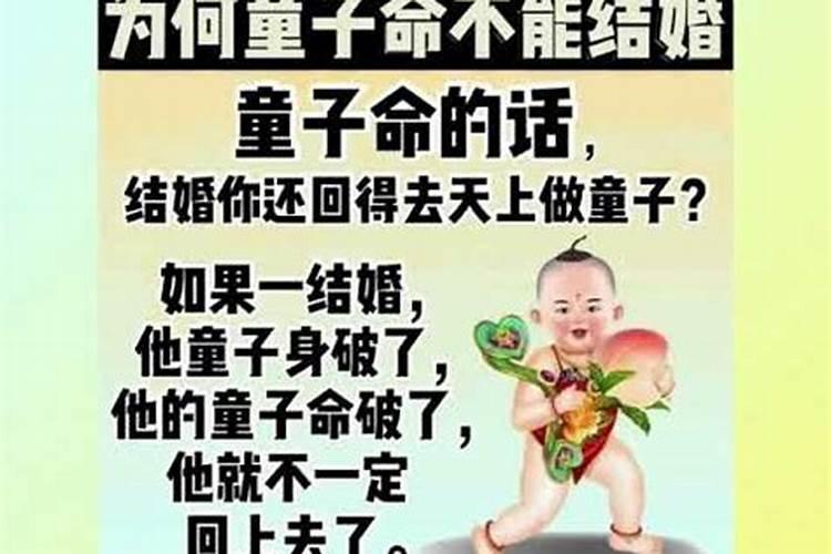 属鼠和什么不合婚配最好