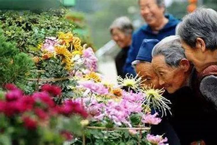 北海重阳节习俗