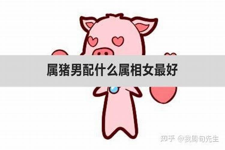 属什么的女人最好