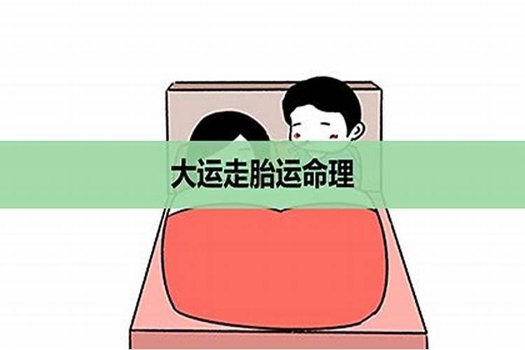 大运走胎运命理