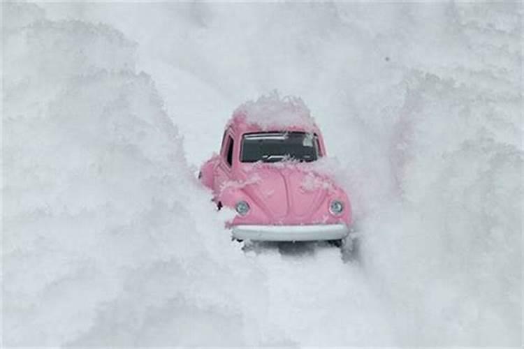 孕妇梦到蛇是什么意思周公解梦很厚的雪