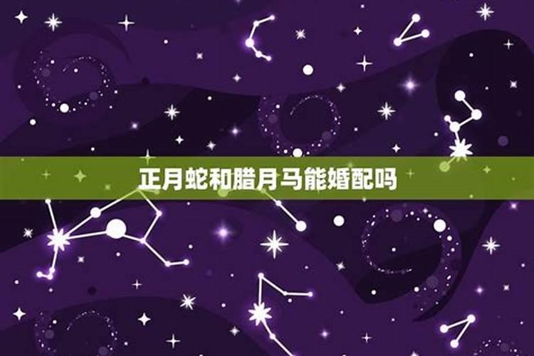 属马腊月出生是什么星座