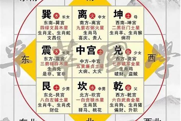 属狗的人今天运气如何