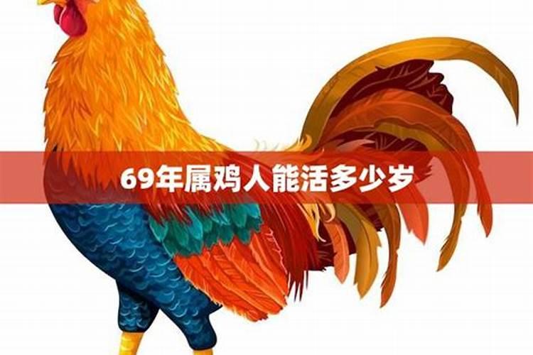 69年属鸡今天运势