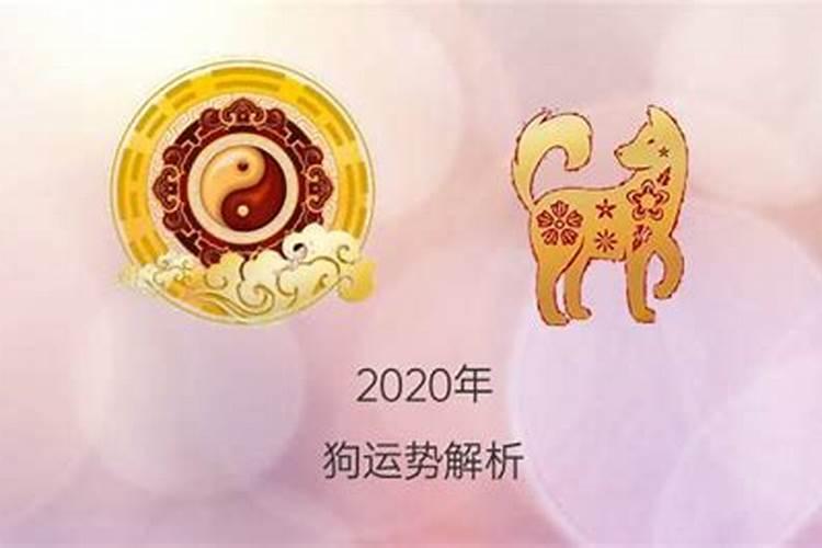 属狗2020年腊月运势怎样