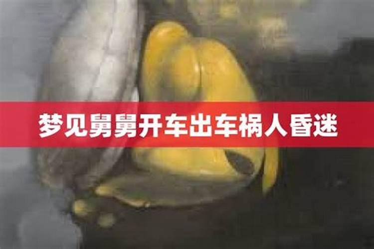 梦见孩子舅舅开车跳崖,但人安全是什么意思