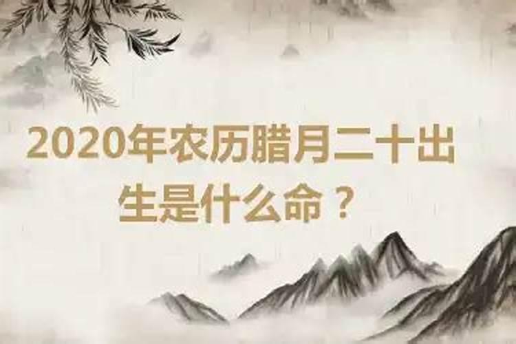 属马2023年如何化解太岁