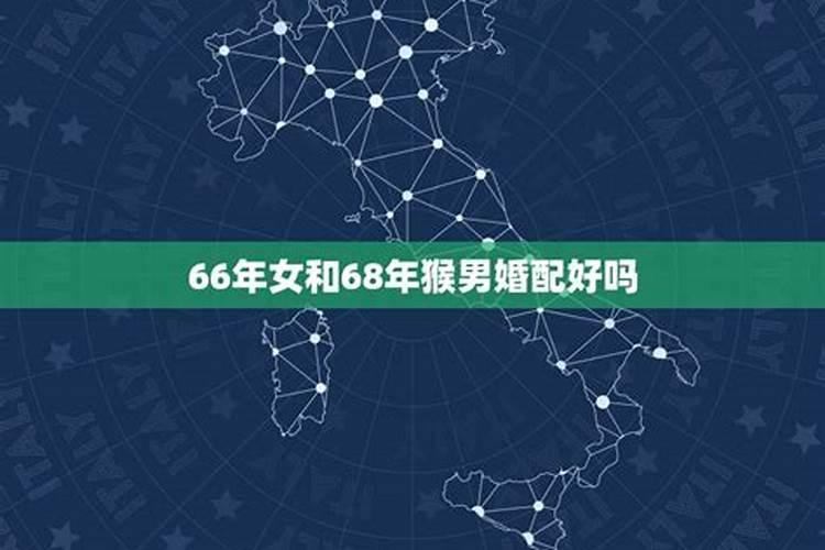 80属猴人今年运势2021年运势