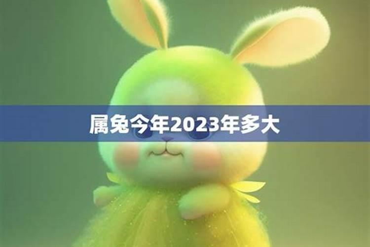 属兔人2023年