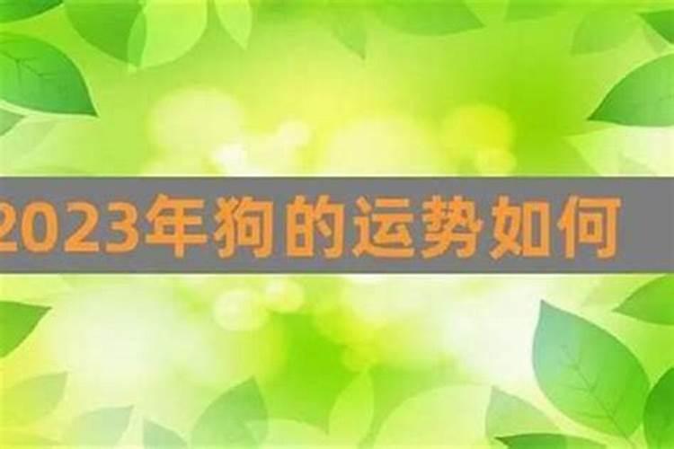 1970年男在2020年每个月运气如何